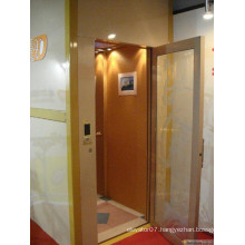 Fjzy-High Quality and Safety Home Lift Fjs-1621